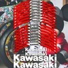 Kawasaki motociklo ratlankių lipdukai