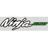 Kawasaki ninja 650 motociklo lipdukai – TR-1030