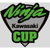 Kawasaki ninja cup motociklo lipdukai – TR-901