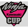 Kawasaki ninja cup motociklo lipdukai – TR-790