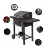 Landgraf BBQ Party anglies grilis sodui