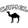Motociklu Lipdukai camel viniliniai lipdukai – TR-2390