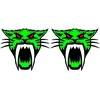 Technikos lipdukai Arctic Cat, su laukinės katės motyvu, žalios spalvos, 2 vnt.