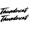 Technikos užrašo lipdukai Arctic Cat Thundercat, 2 vnt.
