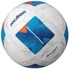Kamuolys futsal training MOLTEN F9N2100 PU