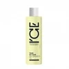 Aliejus plaukams prieš šampūną ICE PROFESSIONAL Tame My Hair, 100 ml