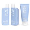 Rinkinys plaukams ICE PROFESSIONAL „Keep My Blond”