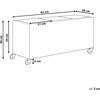 Beliani Gėlių vazonas BELLIS 82 cm juodas, technoratanas