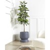 Beliani Doniczka ARAUCARIA 42 cm Pilka