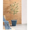 Beliani Doniczka MAIZE 43 cm Mėlyna