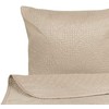 Beliani Bastelio rinkinys su pagalvėlėmis, nuspaustas 140 x 210 cm pilkšvojo SHUSH