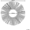 Beliani Round Rattan Wall Mirror Sun 60 cm Juoda KLASĖ