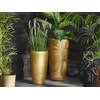 Beliani Rinkinys 2 doniczek TSERIA 32 cm Auksinis