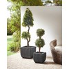 Beliani Rinkinys 2 doniczek BERBERIS Technorattan 34/45 cm Juodas