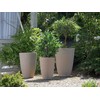 Beliani Rinkinys 2 doniczek CAMIA 43 cm Kremas