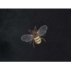 Beliani Rinkinys 2 dekoratyvinės pagalvės TALINUM Velvet 45 x 45 cm Juodas Gyvūnų raštas