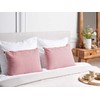 Beliani Rinkinys 2 dekoratyvinės pagalvės AALITA Medvilnė 40 x 60 cm Raudona Striped