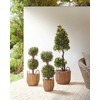 Beliani 3 gėlių krepšių rinkinys AUCUBA 26/34/44 cm šviesiai rudas