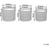 Beliani 3 krepšių gėlėms komplektas PENDULA 33/37/45 cm natūralus technorotangas