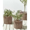 Beliani 3 krepšelių gėlėms rinkinys PENDULA 33/37/45 cm natūralus technorotangas