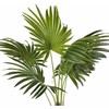 „Shumee“ dirbtinis vazoninis augalas, 100 cm, vėduoklinė palmė