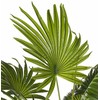 „Shumee“ dirbtinis vazoninis augalas, 100 cm, vėduoklinė palmė