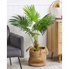 „Shumee“ dirbtinis vazoninis augalas, 100 cm, vėduoklinė palmė