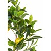Beliani dirbtinis vazoninis augalas, 105 cm, citrinmedis