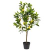 Beliani dirbtinis vazoninis augalas, 105 cm, citrinmedis