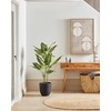 Beliani Dirbtinis augalas DIEFFENBACHIA 110 cm žalias