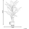 Beliani Dirbtinis augalas DIEFFENBACHIA 110 cm žalias