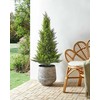 Beliani Sztuczna roślina doniczkowa 120 cm CEDAR TREE