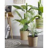 Beliani Dirbtinis augalas ARECA PALM 124 cm žalias