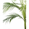 Beliani Dirbtinis augalas ARECA PALM 124 cm žalias