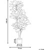 Beliani Dirbtinis augalas CODIAEUM 140 cm žalias