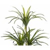 Beliani Dirbtinis augalas DRACAENA ANITA 147 cm žalias