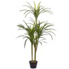 Beliani Dirbtinis augalas DRACAENA ANITA 147 cm žalias