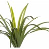 Beliani Dirbtinis augalas DRACAENA ANITA 147 cm žalias