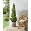 Beliani Dirbtinis augalas CEDAR TREE 153 cm žalias