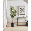 Beliani Dirbtinis augalas FICUS ELASTICA 160 cm žalias
