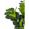 Beliani Sztuczna roślina doniczkowa 162 cm FIG TREE