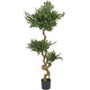 Beliani Dirbtinis augalas RUSCUS TREE 166 cm žalias