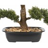 Beliani Sztuczna roślina PINE 44 cm Žalias