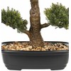 Beliani Sztuczna roślina PINE 44 cm Žalias