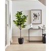 Beliani Dirbtinis augalas FIG TREE 162 cm žalias