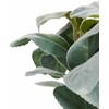 Beliani Sztuczna roślina PEPEROMIA ARGYREIA 30 cm Žalias