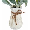 Beliani Sztuczna roślina PEPEROMIA ARGYREIA 30 cm Žalias