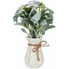Beliani Sztuczna roślina PEPEROMIA ARGYREIA 30 cm Žalias