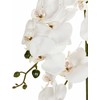 Beliani Dirbtinis augalas ORCHID 65 cm baltas