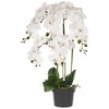 Beliani Dirbtinis augalas ORCHID 65 cm baltas